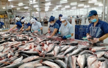 Xuất khẩu nông, lâm, thủy sản tăng tốc, hướng tới mốc 74 tỷ USD