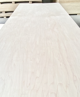 Plywood phủ Veneer Birch