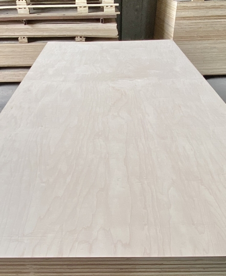 Plywood phủ Veneer Birch