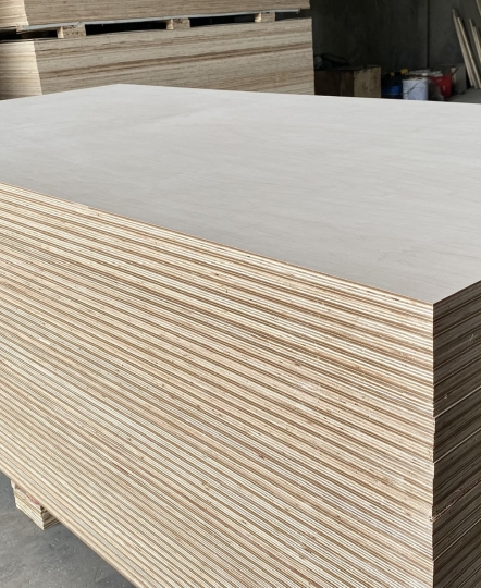 Plywood phủ Veneer Birch