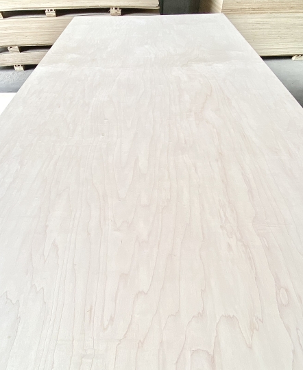 Plywood phủ Veneer Birch