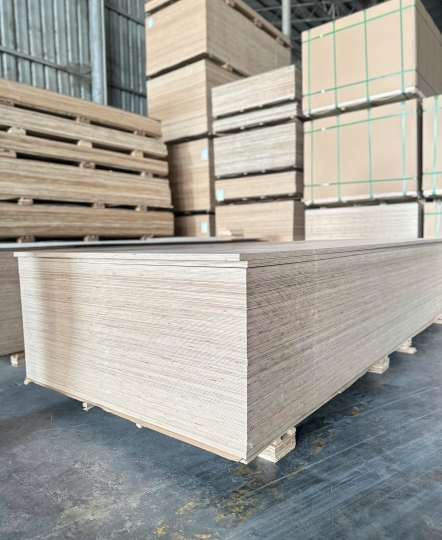 Plywood phủ Veneer Birch